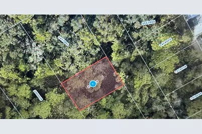 Stacey Drive, Mount Dora, FL 32757 - Photo 1