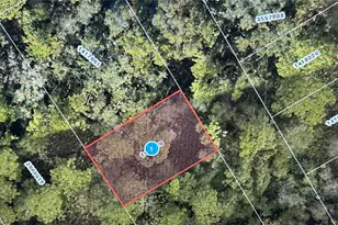 Stacey Dr, Mount Dora, FL 32757 - Photo 1