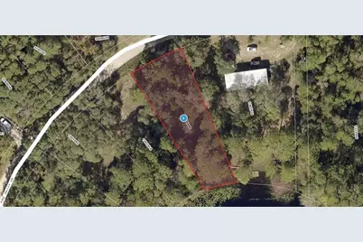 Pine Valley Drive, Paisley, FL 32767 - Photo 1