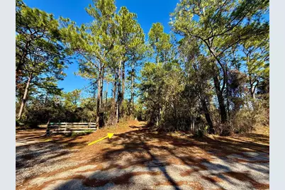40001 Maggie Jones Road, Paisley, FL 32767 - Photo 1