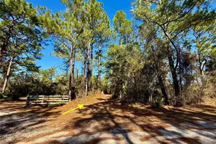 40001 Maggie Jones Rd, Paisley, FL 32767 - Photo 1