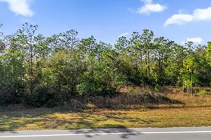 Lot 14 Dallas Blvd, Orlando, FL 32833 - Photo 1