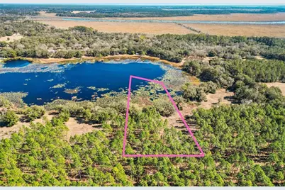 Tbd Hwy 42, Weirsdale, FL 32195 - Photo 1