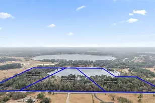 Wiygul Rd, Umatilla, FL 32784 - Photo 1