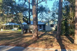 43648 S Island Dr, Paisley, FL 32767 - Photo 1