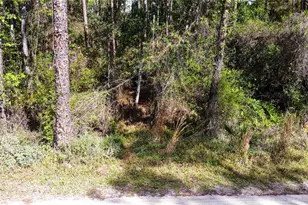 Quail Ranch Rd, New Smyrna Beach, FL 32168 - Photo 1