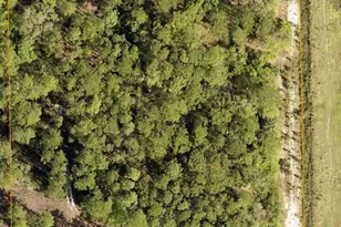 Lake Harney Rd, Osteen, FL 32764 - Photo 1