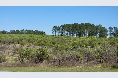 0 Thrill Hill Road, Eustis, FL 32736 - Photo 1