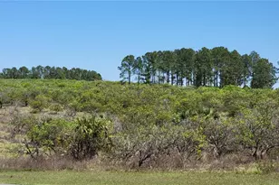 0 Thrill Hill Rd, Eustis, FL 32736 - Photo 1