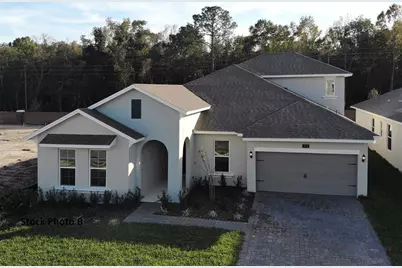 9558 Brave Buck Avenue, Land O Lakes, FL 34638 - Photo 1