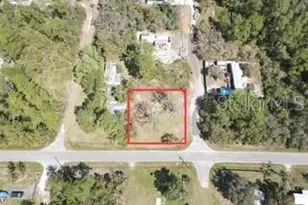 45347 Carolina St, Paisley, FL 32767 - Photo 1