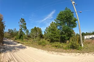 43718 Cooter Pond Rd, Deland, FL 32720 - Photo 1