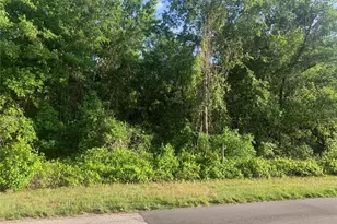 Empire Church Rd, Groveland, FL 34736 - Photo 1