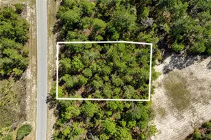 SW 41st Circle, Ocala, FL 34473 - Photo 1