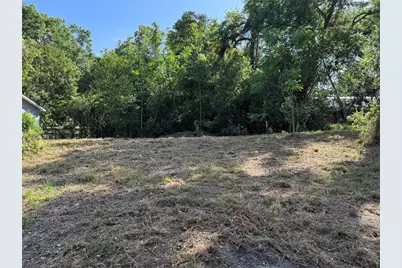 N Palm Circle, Eustis, FL 32726 - Photo 1