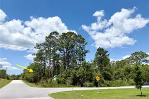 Lot 28 Alder Ct, Eustis, FL 32736 - Photo 1