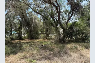 Vacant Land NW 8th Trail, Lake Panasoffkee, FL 33538 - Photo 1