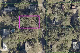 Cr 422, Lake Panasoffkee, FL 33538 - Photo 1