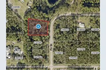 Fir Street, Eustis, FL 32736 - Photo 1
