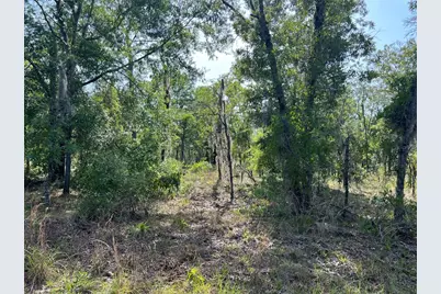 Ne 152nd Ct, Williston, FL 32696 - Photo 1