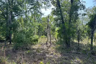 NE 152nd Ct, Williston, FL 32696 - Photo 1