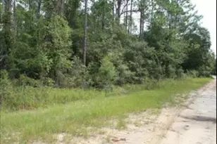 10381 NE 81 St, Bronson, FL 32621 - Photo 1