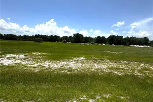 38793 Ranch Gate Blvd, Umatilla, FL 32784 - Photo 1