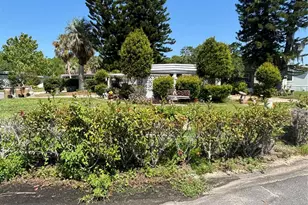 31545 Terrace Dr, Tavares, FL 32778 - Photo 1