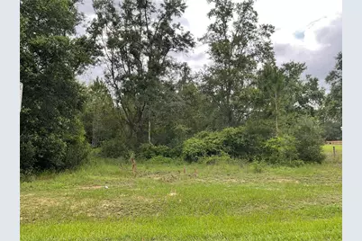 Howey Cross Road, Clermont, FL 34715 - Photo 1