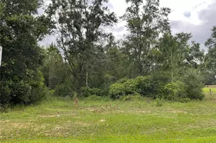 Howey Cross Rd, Clermont, FL 34715 - Photo 1