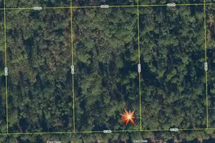 143 E Dixie St, Palatka, FL 32177 - Photo 1