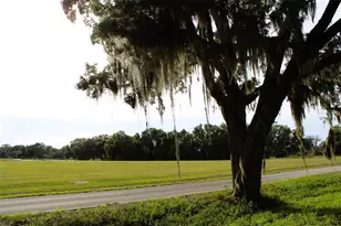 Cross Country Blvd, Altoona, FL 32702 - Photo 1