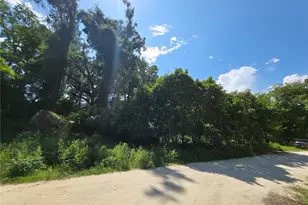 SE 33rd Ct, Belleview, FL 34420 - Photo 1