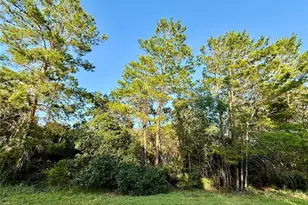 Lot 6 Aspen St, Eustis, FL 32736 - Photo 1