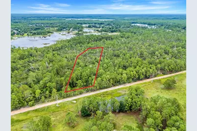 Buck Run Drive, Paisley, FL 32767 - Photo 1