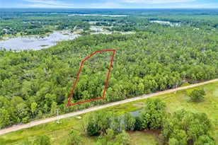 Buck Run Dr, Paisley, FL 32767 - Photo 1