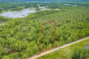 Buck Run Dr, Paisley, FL 32767 - Photo 1