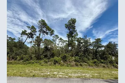 Lot 1 Dahlia Street, Eustis, FL 32736 - Photo 1