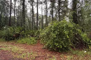 Tbd Sequoia Dr Trail, Ocklawaha, FL 32179 - Photo 1