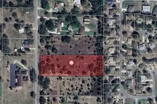 Tomato Hill Rd, Leesburg, FL 34748 - Photo 1