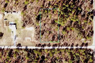Tbd SW 94th Ln, Dunnellon, FL 34432 - Photo 1