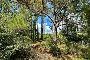 Oil Well Rd, Clermont, FL 34714 - Photo 1