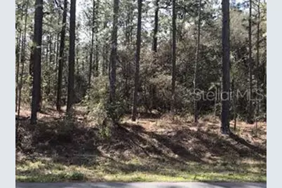 1933 Cr 243C, Wildwood, FL 34785 - Photo 1