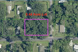 Cr 426, Lake Panasoffkee, FL 33538 - Photo 1