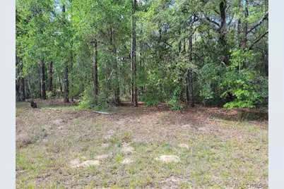 609 E Canturybury Lane, Citrus Springs, FL 34434 - Photo 1