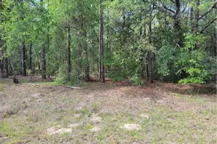 609 E Canturybury Ln, Citrus Springs, FL 34434 - Photo 1