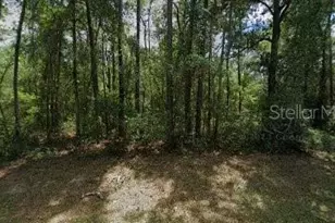 917 E Abend Dr, Dunnellon, FL 34434 - Photo 1