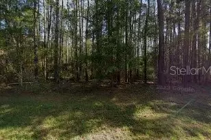 9261 N Athenia Dr, Citrus Springs, FL 34434 - Photo 1