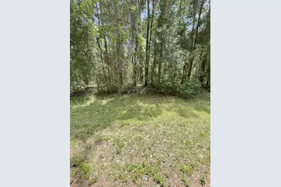 9238 N Athenia Drive, Citrus Springs, FL 34434 - Photo 1