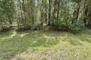 9238 N Athenia Dr, Citrus Springs, FL 34434 - Photo 1